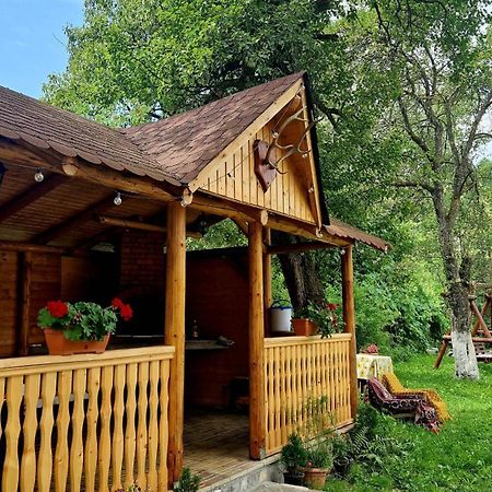 Casa Dorina Villa Bran  Exterior photo